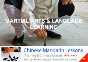 Martial Arts and Mandarin studies