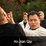 wushu shaolin kung fu