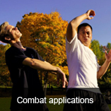 what is wushu martial arts