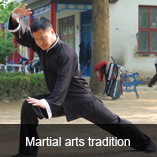 the art of wushu