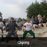 shaolin wushu center