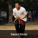 wushu kung fu 