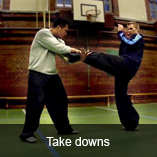 shaolin kung fu wushu