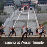 shaolin temple kung fu 
