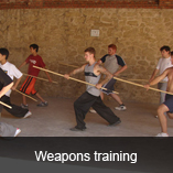 shaolin temple 