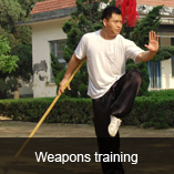 kung fu and wushu