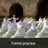 kung fu training