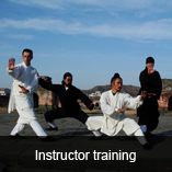 kung fu martial arts training