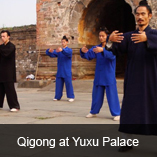 traditional kung fu training 