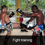 Fight Training