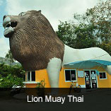 Lion Muay Thai