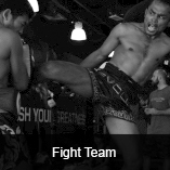 Fight Team