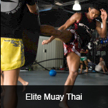 Elite Muay Thai