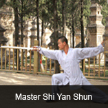 shaolin martial arts academy 