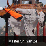 shaolin king of martial arts