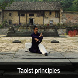 kung fu karate training