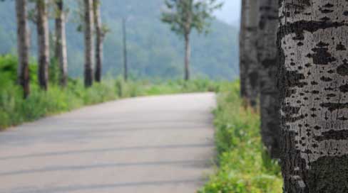 Martial Arts Adventure Travel CONTACT OUR EXPERT TEAM OR FOLLOW US ON FACEBOOK NOW!!!