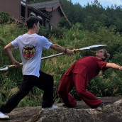 kung fu and martial arts