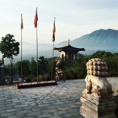kung fu and martial arts