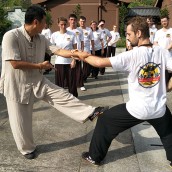 kung fu and martial arts