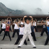 kung fu and martial arts
