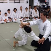 kung fu and martial arts