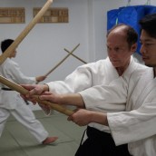 kung fu and martial arts
