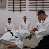 kung fu and martial arts