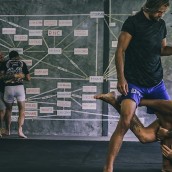 kung fu and martial arts
