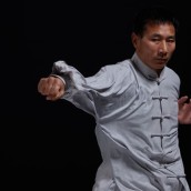 kung fu and martial arts