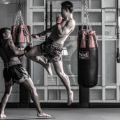 kung fu and martial arts