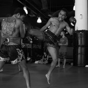 kung fu and martial arts