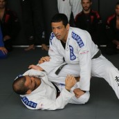 kung fu and martial arts