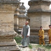 kung fu and martial arts