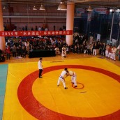 kung fu and martial arts