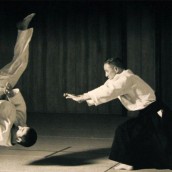 kung fu and martial arts