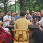 kung fu and martial arts