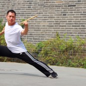 kung fu and martial arts