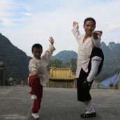 kung fu and martial arts