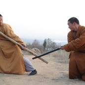 kung fu and martial arts