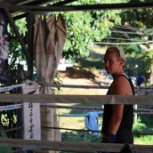 kung fu and martial arts