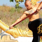 kung fu and martial arts