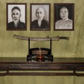 kung fu and martial arts