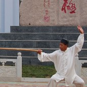 kung fu and martial arts