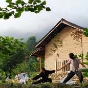 kung fu and martial arts