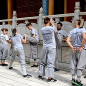 kung fu and martial arts