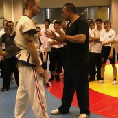 kung fu and martial arts