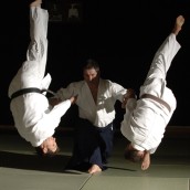 kung fu and martial arts