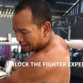 kung fu and martial arts