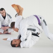 kung fu and martial arts